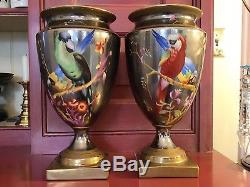 Chelsea House Handpainted Macaw Parrot 11 5/8 Porcelain Lusterware Urns (2)