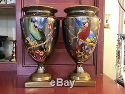 Chelsea House Handpainted Macaw Parrot 11 5/8 Porcelain Lustre Urns (2)