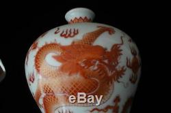 Chinese Antique Hand Painted Dragon Porcelain Vase Marked QianLong