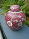 Chinese Famile Rose Hand Painted Bright Colours Ginger Jar And Lid Signed