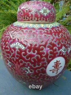 Chinese Famile rose hand painted bright colours ginger jar and lid signed