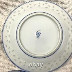 Chinese Porcelain Blue and White Bowl Spoon Rice Grain Dragon Plate Hand Painted