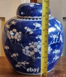 Chinese Prunus Jar Double Ring Mark