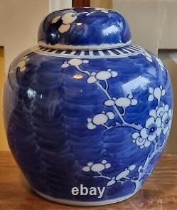 Chinese Prunus Jar Double Ring Mark