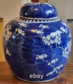 Chinese Prunus Jar Double Ring Mark