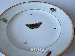 Christopher Potter c. 1795 Paris Porcelain Hand Painted Butterfly Plate 22cm 16