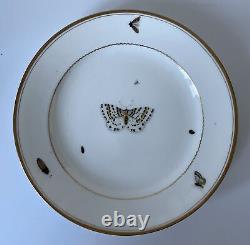 Christopher Potter c. 1795 Paris Porcelain Hand Painted Butterfly Plate 22cm 8