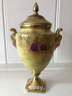 Coalport Hand Painted Fruits Mask Handles Pedestal Vase & Cover by M Harnett 7