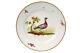 Coalport Plate Duck Bird Hand Painted Centre Circa 1802