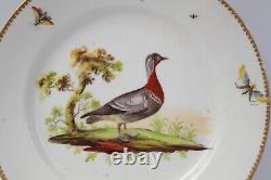 Coalport Plate Duck Bird Hand Painted Centre Circa 1802