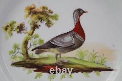 Coalport Plate Duck Bird Hand Painted Centre Circa 1802