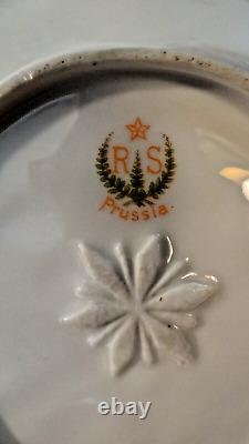 Collectible Vintage R S Germany Hand Painted Porcelain Dish