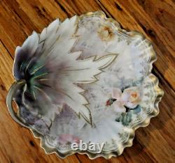 Collectible Vintage R S Germany Hand Painted Porcelain Dish