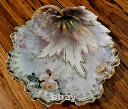 Collectible Vintage R S Germany Hand Painted Porcelain Dish