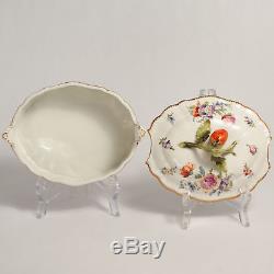 Dresden Fine Porcelain Hand Painted Serving Dish Crown / Shield