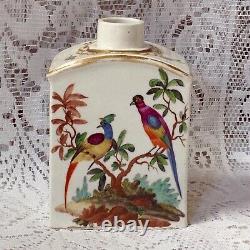 Early 18th Century Meissen Tea Caddy, Hand Painted Exotic Birds C1700s