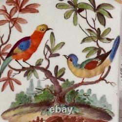 Early 18th Century Meissen Tea Caddy, Hand Painted Exotic Birds C1700s