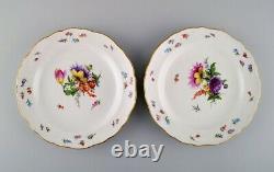 Eight antique Meissen plates in porcelain with hand-painted flowers
