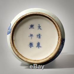 Fine Chinese Antiques Porcelain Flowers Vases Qing Dynasty Marked KangXi 9.33H