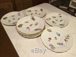 HEREND Porcelain Hand Painted set of 10 10 1/4 Dinner Plates HER1524 Flowers