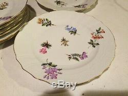 HEREND Porcelain Hand Painted set of 10 10 1/4 Dinner Plates HER1524 Flowers