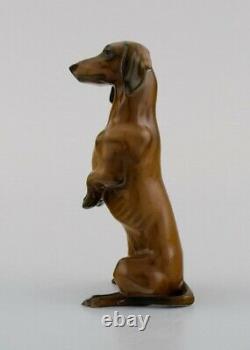 Hand-painted Rosenthal porcelain figurine. Standing dachshund. Mid-20th century