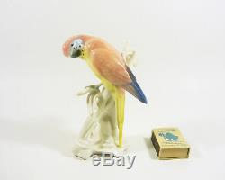 Karl Ens Popinjay Parrot Bird 5.5, Vintage Handpainted Porcelain Figurine