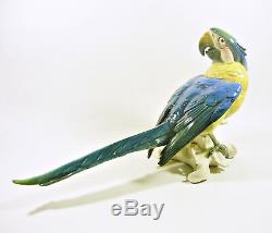 Karl Ens Volkstedt Macaw Parrot Bird 14, Antique Handpainted Porcelain Figurine