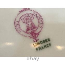 Limoges France Antique Porcelain Handpainted 8 Plate Stunning Signed