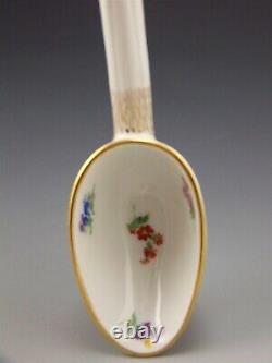 Meissen Porcelain Hand Painted Floral 8.5 Spoon 1st Quality