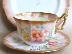 NAUTILUS PORCELAIN GLASGOW SCOTTISH HAND PAINTED TEA CUP TRIO C1905 (Ref9245)