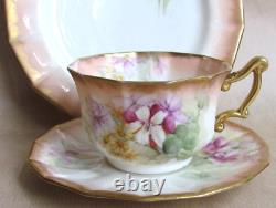 NAUTILUS PORCELAIN GLASGOW SCOTTISH HAND PAINTED TEA CUP TRIO C1905 (Ref9255)