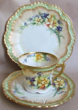 Nautilus Porcelain Glasgow Scottish Hand Painted Trio C. 1900 (10701)