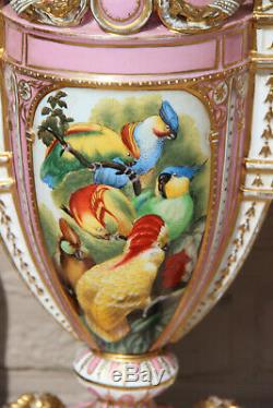 PAIR XL French vintage porcelain Vases hand paint bird decors pink Rare
