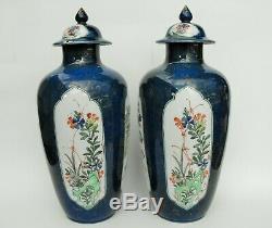 Pair of Kangxi period vases