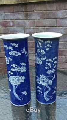 Pair of antique Chinese porcelain Prunas Mei or plum blossom vases