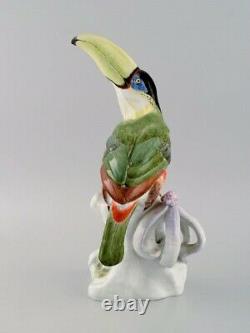 Paul Walther for Meissen. Large antique figure in hand-painted porcelain. Toucan