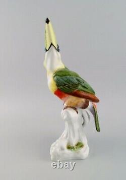 Paul Walther for Meissen. Large antique figure in hand-painted porcelain. Toucan