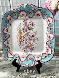 Porzellanfabrik Utzschneider & Cie Dish Porcelain Hand Painted Gorgeous