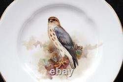 Royal Worcester Hand Painted Merlin Bird of Prey Small Plate Circa 1908