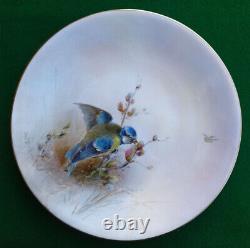 Royal Worcester, Jas Stinton Blue Tit Hand Painted Plate