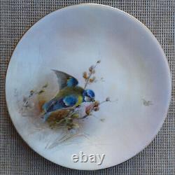 Royal Worcester, Jas Stinton Blue Tit Hand Painted Plate