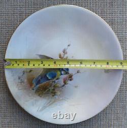 Royal Worcester, Jas Stinton Blue Tit Hand Painted Plate