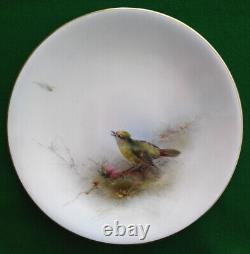 Royal Worcester, Jas Stinton Gold Crested Wren Hand Painted Plate