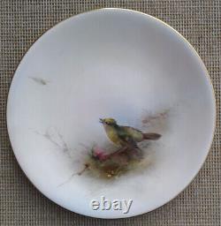 Royal Worcester, Jas Stinton Gold Crested Wren Hand Painted Plate