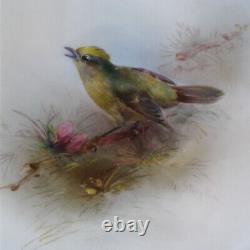 Royal Worcester, Jas Stinton Gold Crested Wren Hand Painted Plate