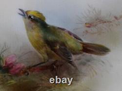 Royal Worcester, Jas Stinton Gold Crested Wren Hand Painted Plate