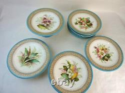 Royal Worcester Porcelain Hand-Painted Botanical 12 Piece Dessert Service 1880