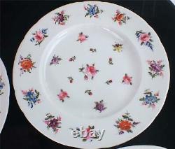 SET of SIX HAND PAINTED ANTIQUE ENGLISH PORCELAIN DINNER PLATES FLORAL SPRAYS