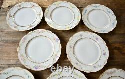 Set Haviland Limoges France Floral Dinner Plates 10 Hand Painted Porcelain